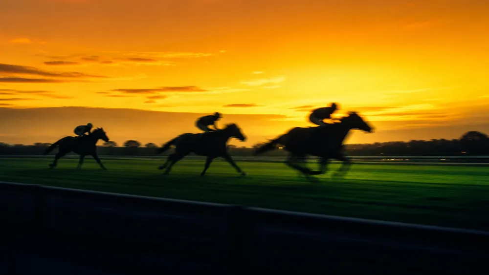 Mr Green Betting Site, Login and Account Access
